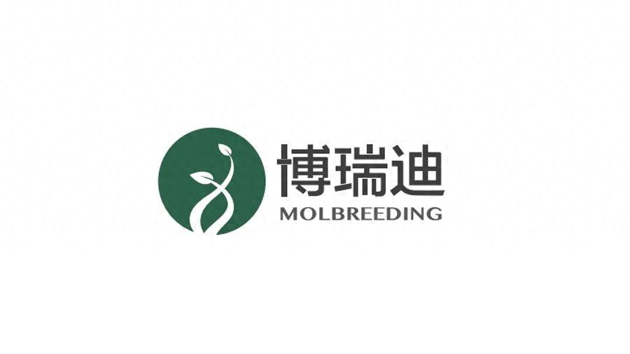石家庄博瑞迪生物技术有限公司